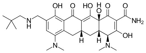 1533882196(1).jpg