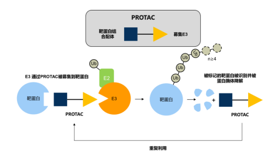 微信圖片_20220614145402.png